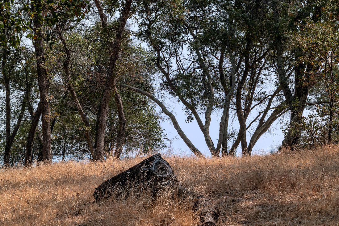 Folsom Lake 2018