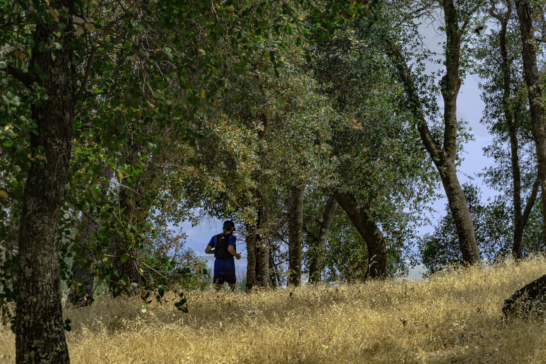Folsom Lake 2018