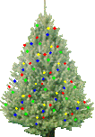 Happpy Holidays