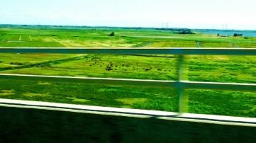 Cowpasture.jpg